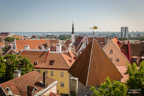 Загрузка ...