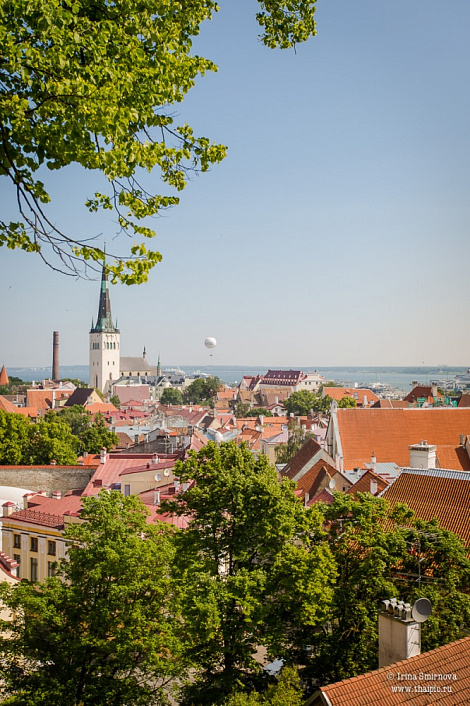 Загрузка ...