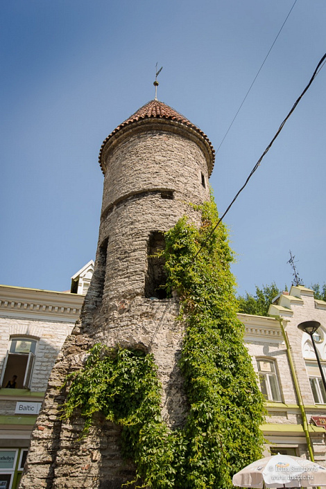 Загрузка ...