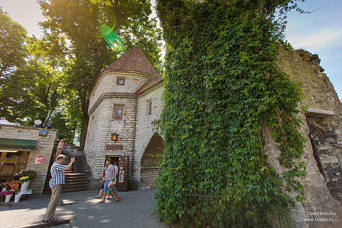 Загрузка ...