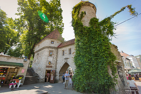 Загрузка ...