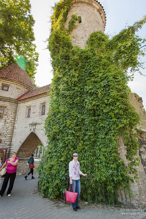 Загрузка ...