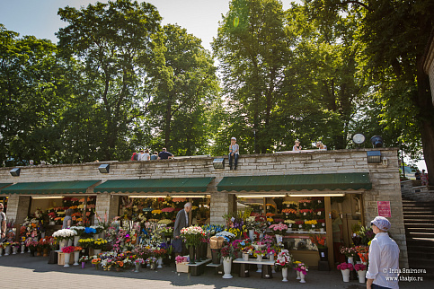 Загрузка ...