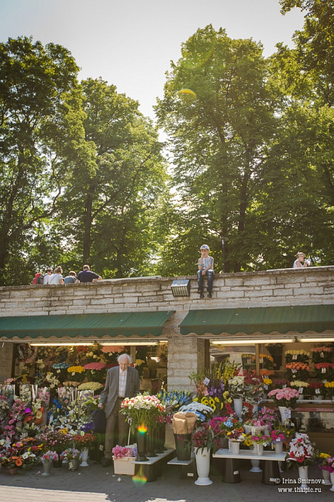 Загрузка ...