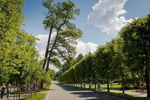 Загрузка ...