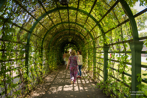 Загрузка ...