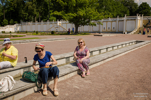 Загрузка ...