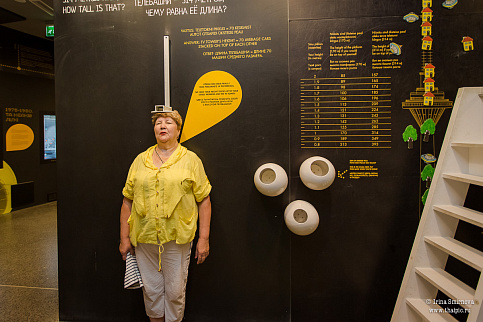 Загрузка ...