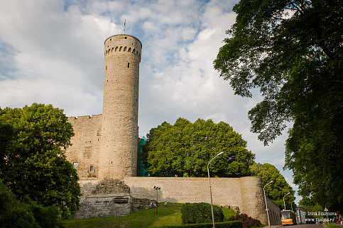 Загрузка ...