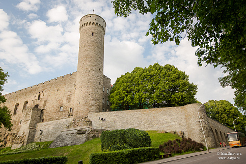 Загрузка ...