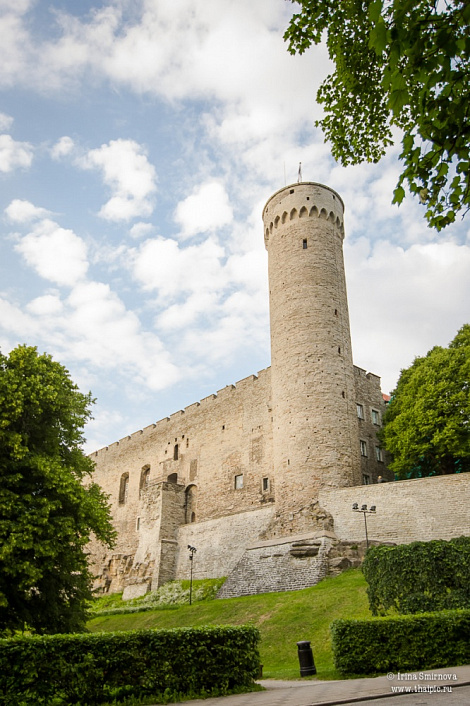 Загрузка ...