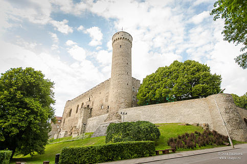 Загрузка ...