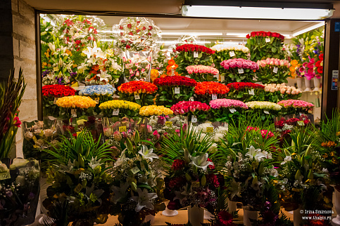 Загрузка ...