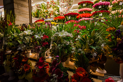 Загрузка ...