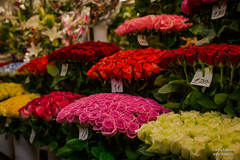 Загрузка ...