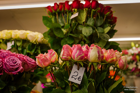 Загрузка ...