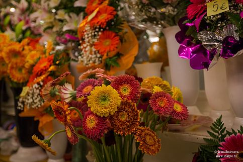 Загрузка ...