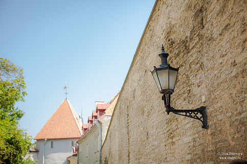 Загрузка ...