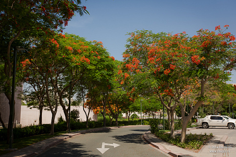 Загрузка ...