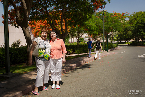 Загрузка ...