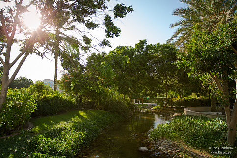 Загрузка ...