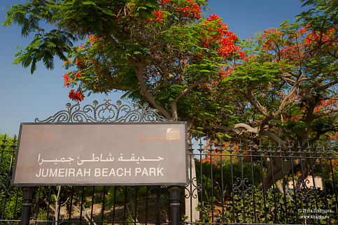 Загрузка ...