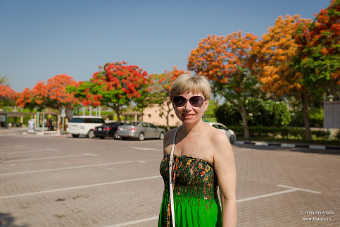 Загрузка ...