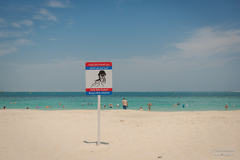 Загрузка ...