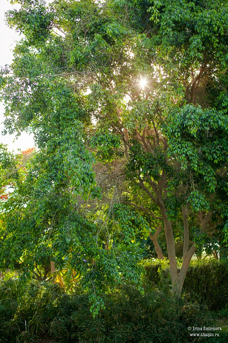 Загрузка ...