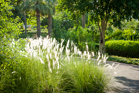 Загрузка ...