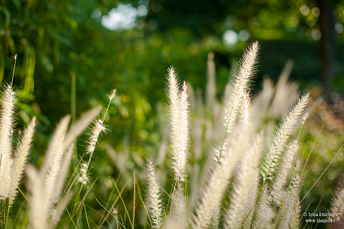 Загрузка ...