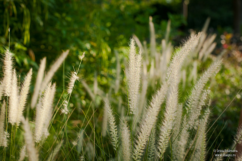 Загрузка ...