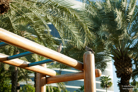 Загрузка ...