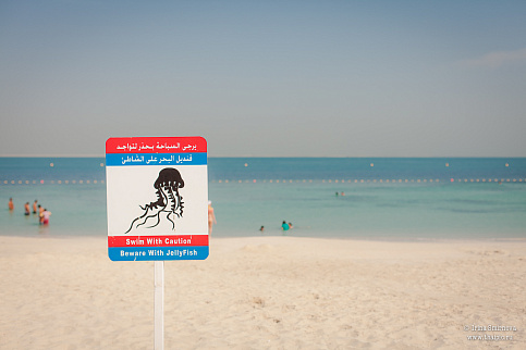 Загрузка ...