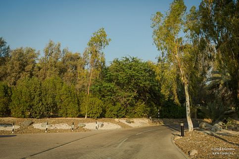 Загрузка ...