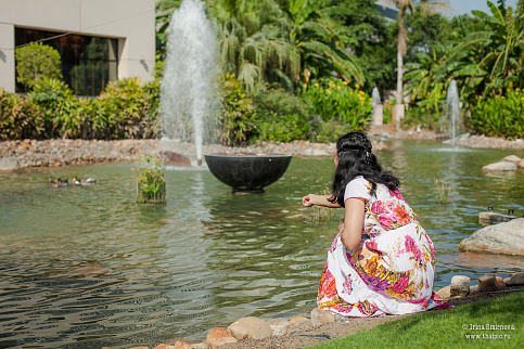 Загрузка ...