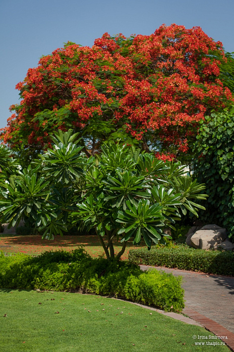 Загрузка ...