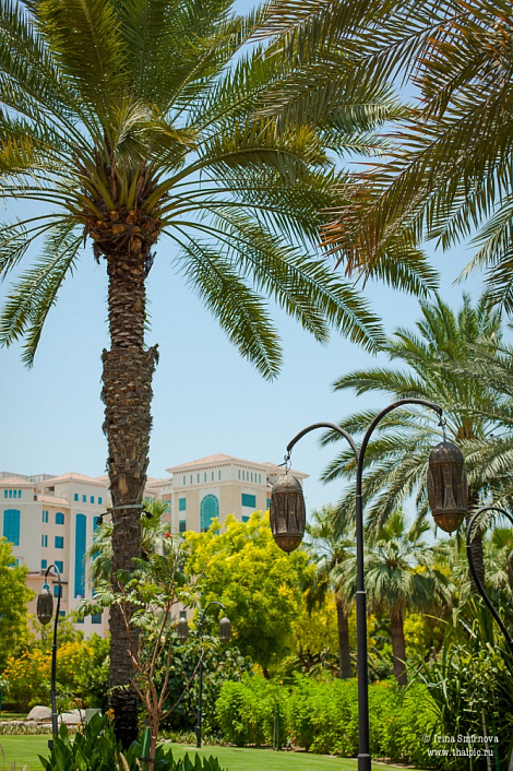 Загрузка ...