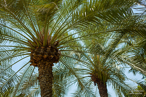 Загрузка ...