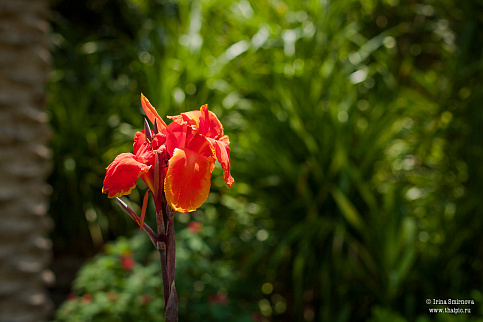 Загрузка ...