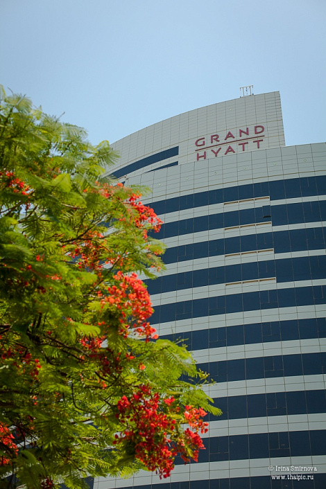 Загрузка ...