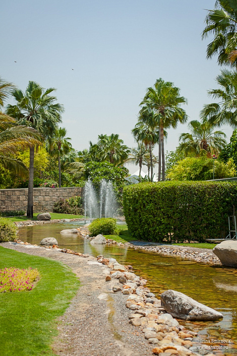 Загрузка ...