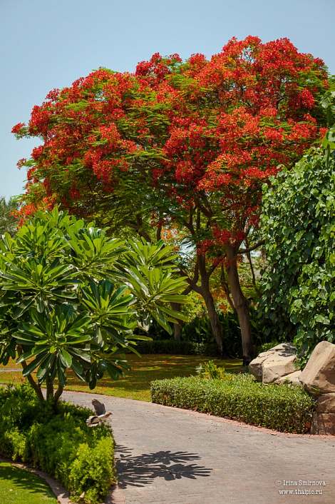 Загрузка ...