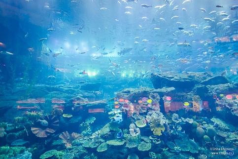 Загрузка ...