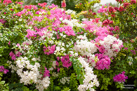 Загрузка ...