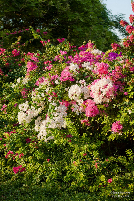 Загрузка ...