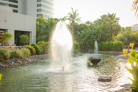 Загрузка ...