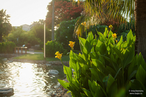 Загрузка ...