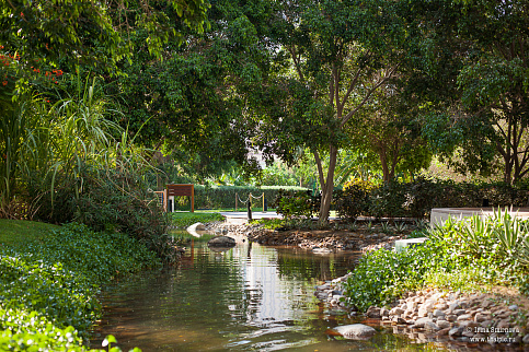 Загрузка ...