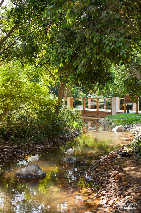 Загрузка ...